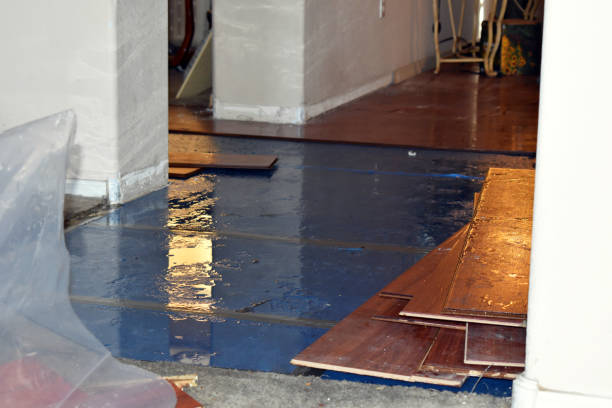 Professional Basement Flood Cleanup technician working in Polk City, FL